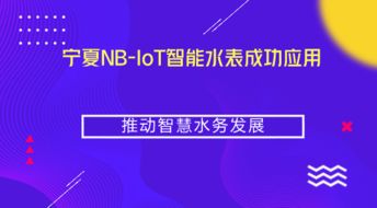 寧夏NB-IoT智能水表成功應(yīng)用，推動(dòng)智慧水務(wù)與智能水務(wù)系統(tǒng)開發(fā)